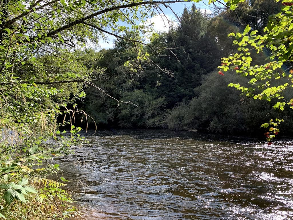 Pêche à l'ombre commun en Haute-Vienne à Saint Léonard de Noblat secteur du Moulin de l'Artige