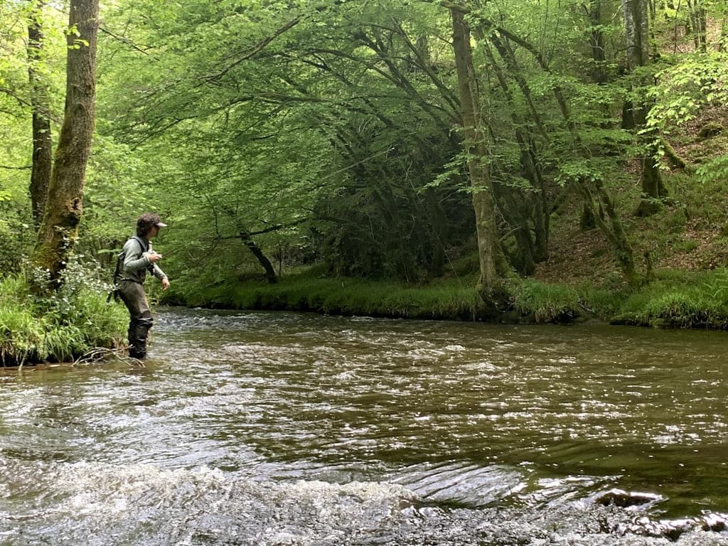 Pêche à la truite et l'ombre commun en Limousin sur la rivière Combade