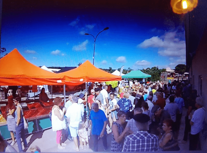 Photo Festi Pomme (9) - Redim