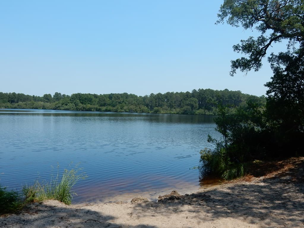Etang de Moliets_Landes Atlantique Sud