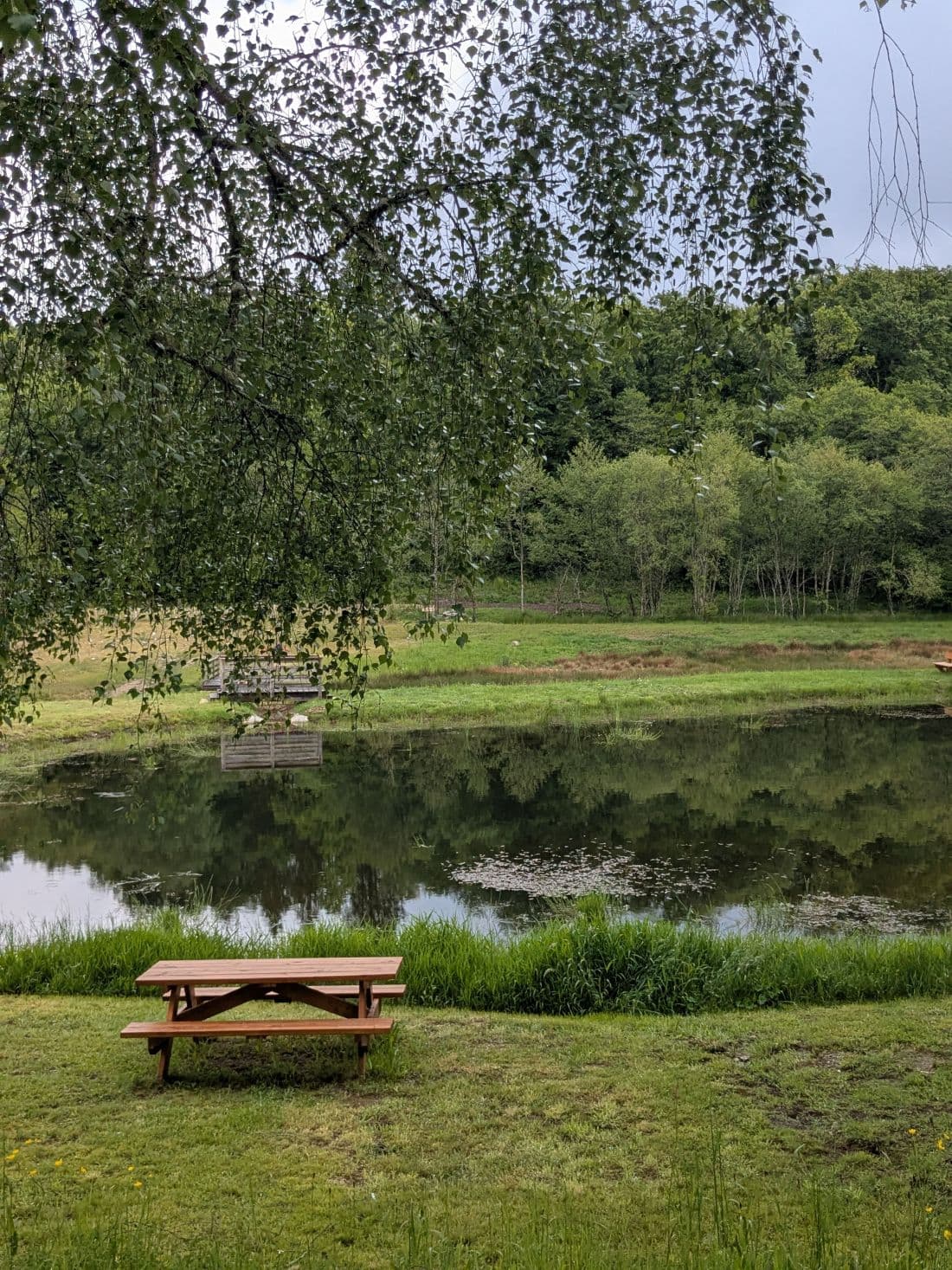 Pique nique espace biodiversité Lacelle