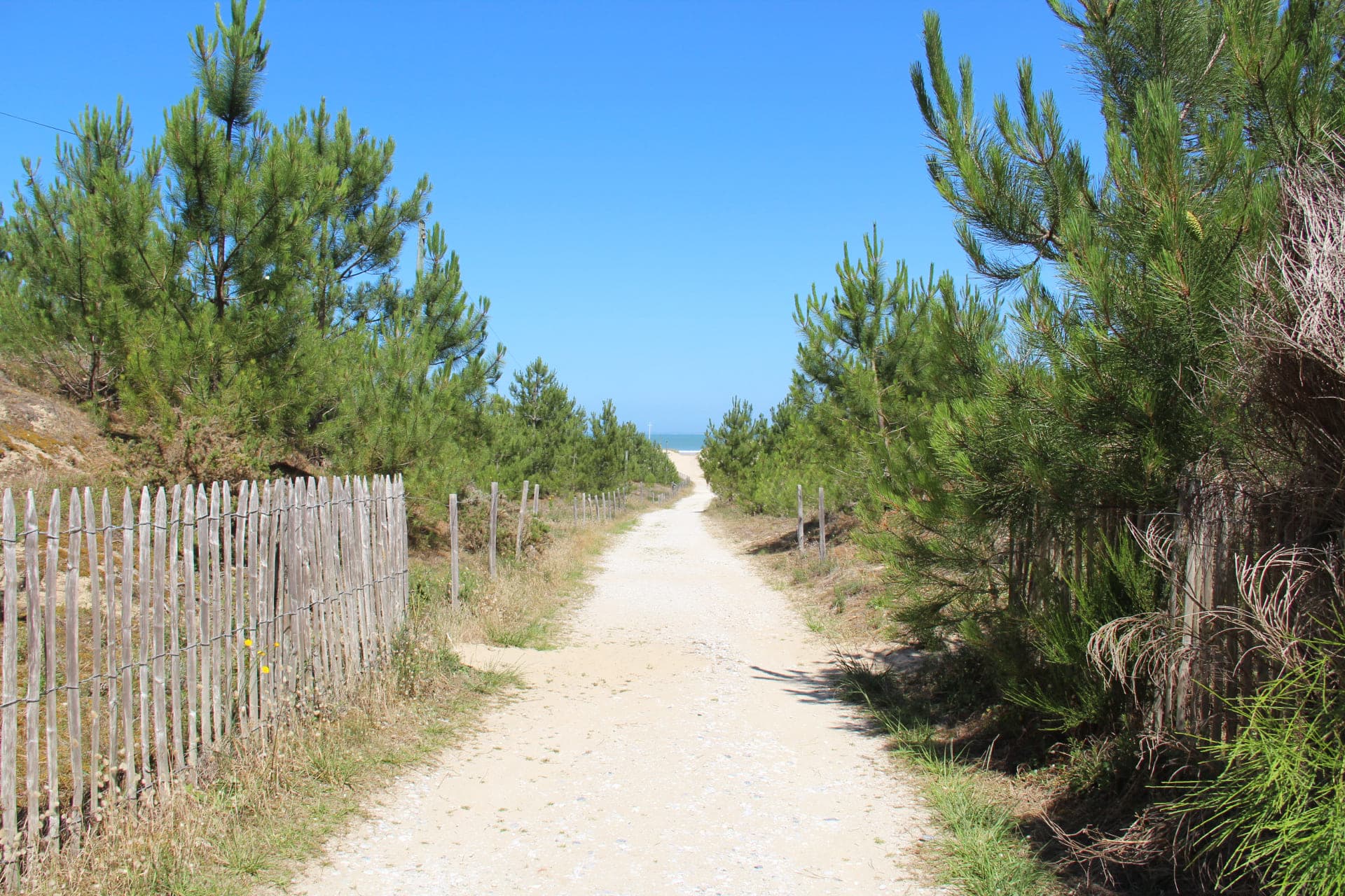 Plage Saint-Nicolas