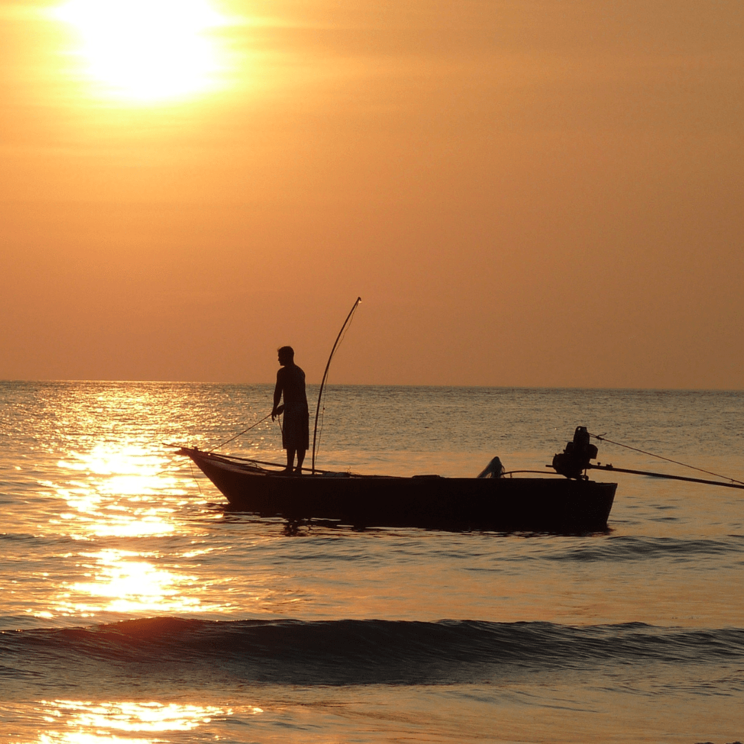 Pêche en mer