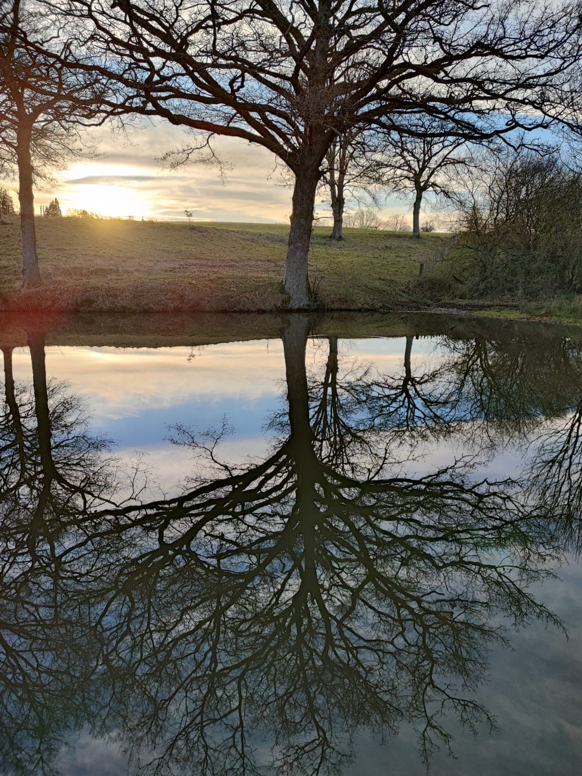 Pond Silhouette