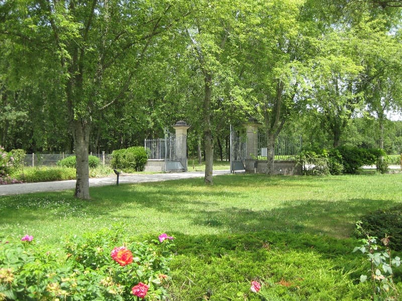 château vieux robin 11