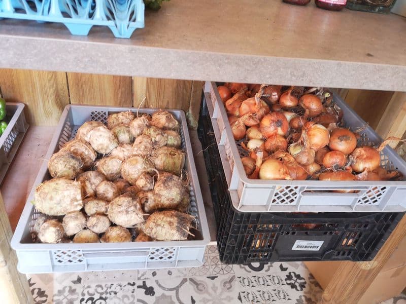 Potager de Lanton (3)