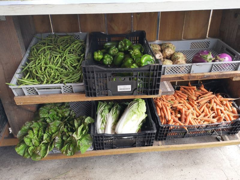 Potager de Lanton (7)