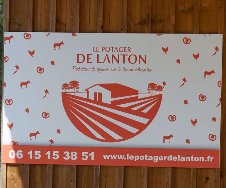 Potager de Lanton (9)