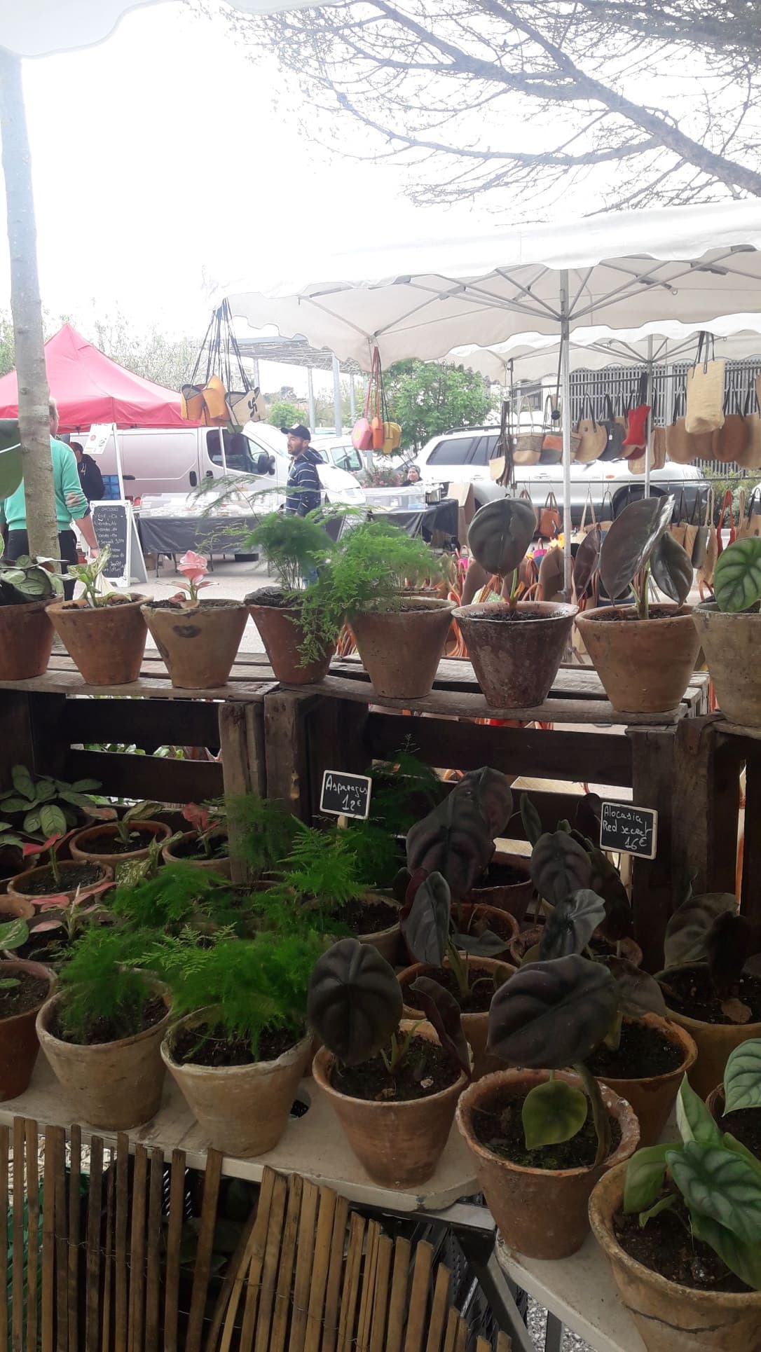 Marché_Vieux Boucau_Landes Atlantique Sud