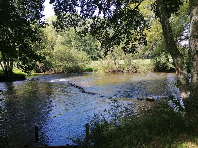 Aire de pique nique Le Pré de l'Aiguille à Charroux_2