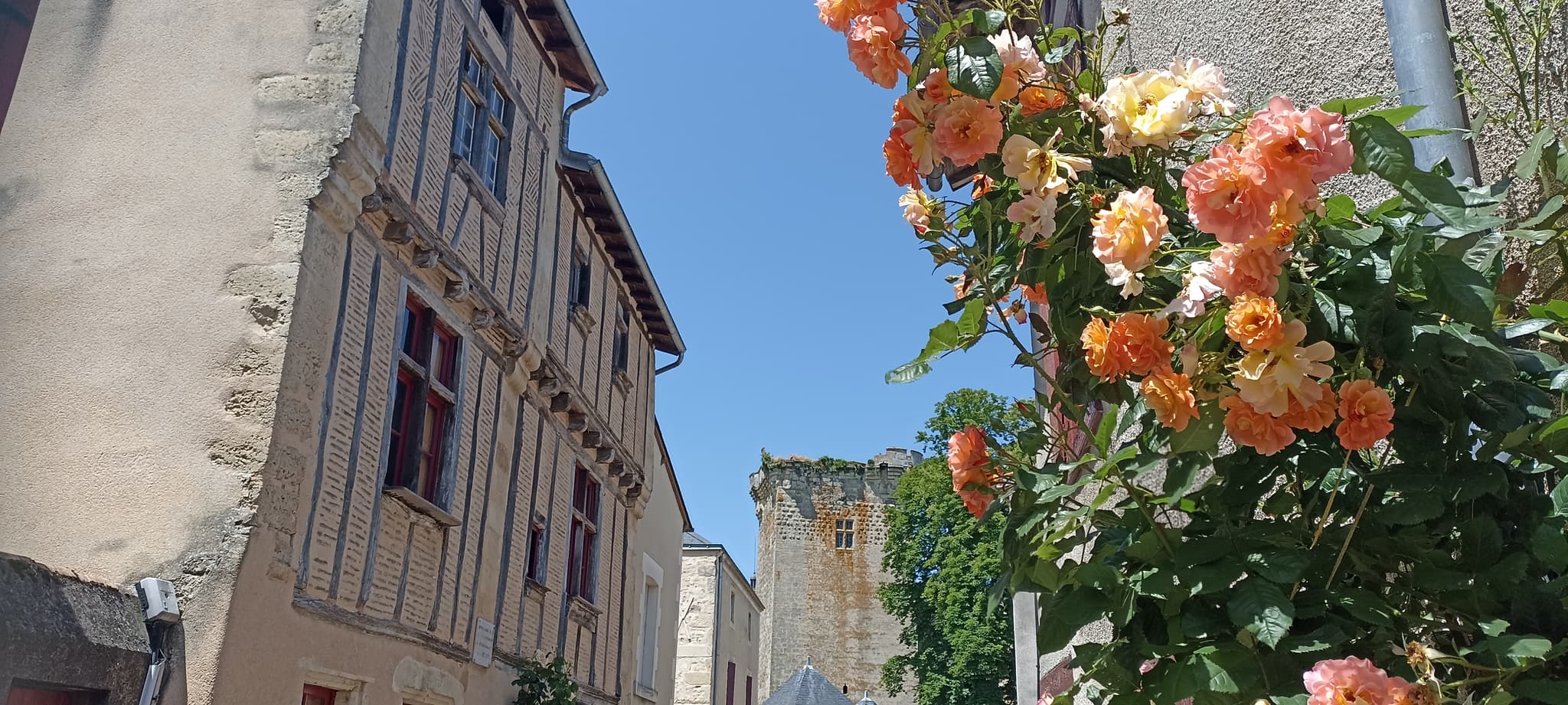 Rando St-Loup (56)