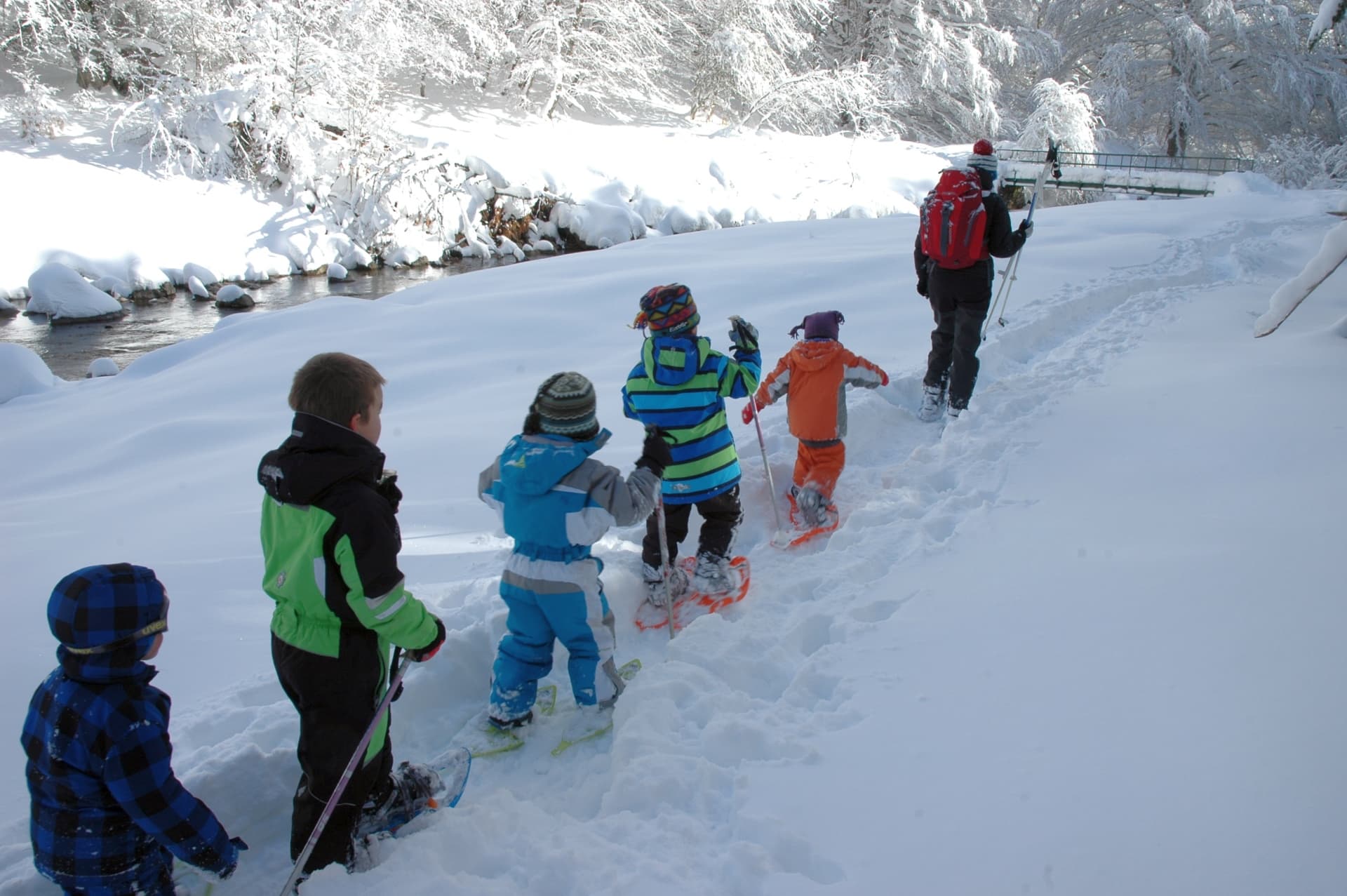 Randonnée raquettes en vallée d'Aspe