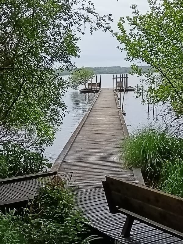 Réserve Naturelle de la Mazière 4