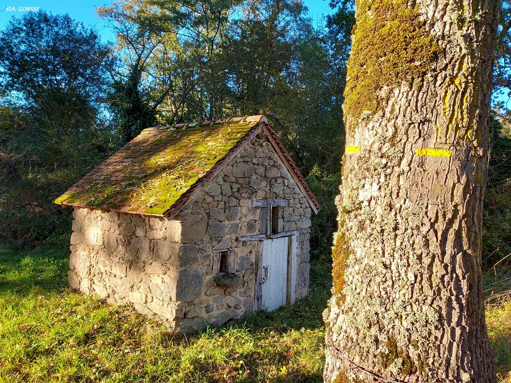 SAINT-CHABRAIS_Haute Serre et Etang de Pinaud ©Aline GORSSE (1)
