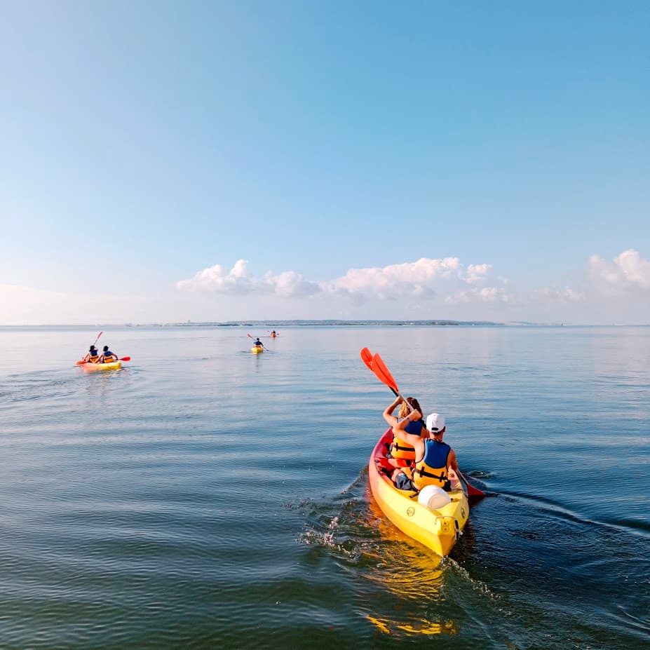 Salsifi-Kayak--5-