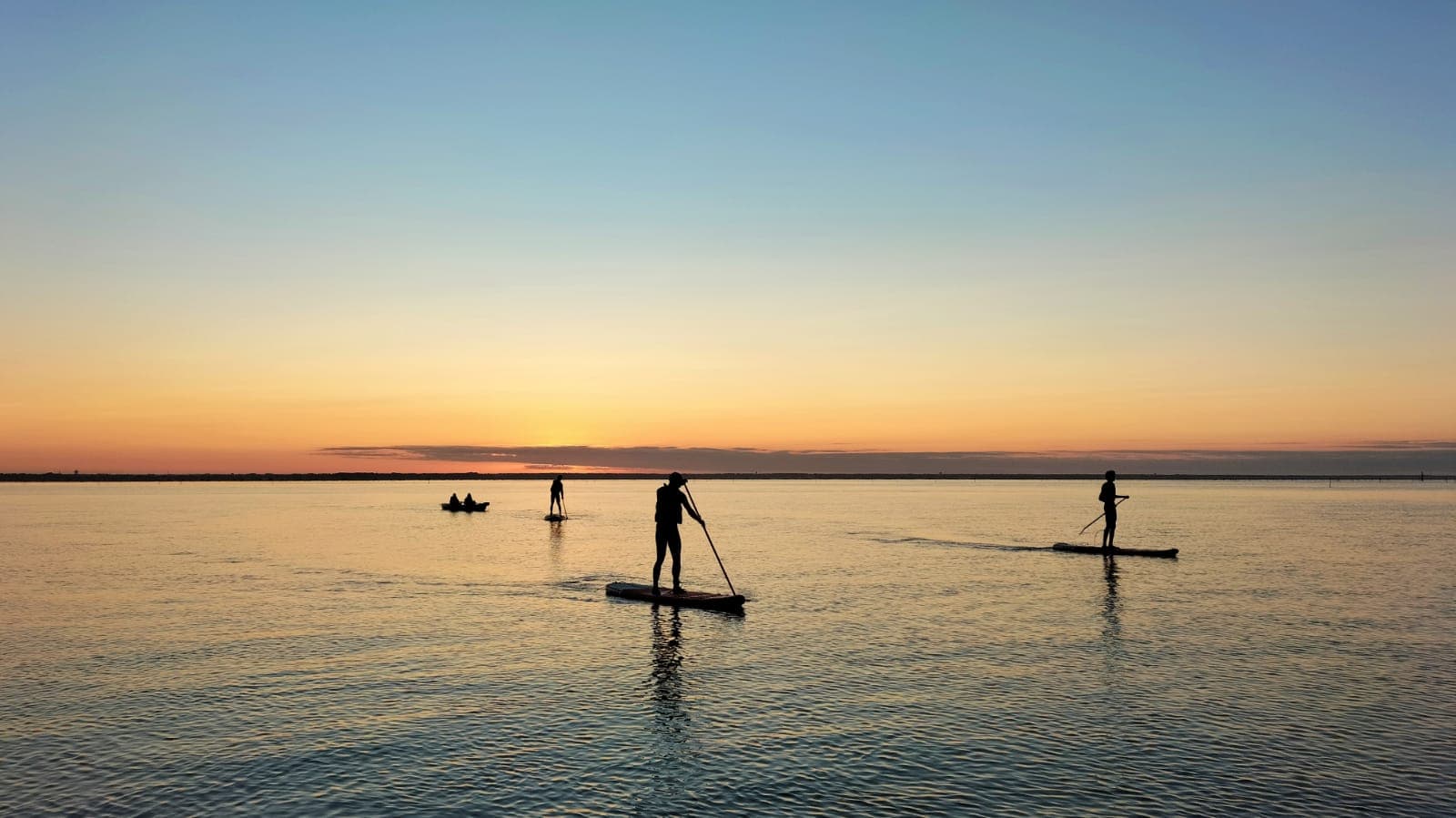 Salsifi Paddle (7)