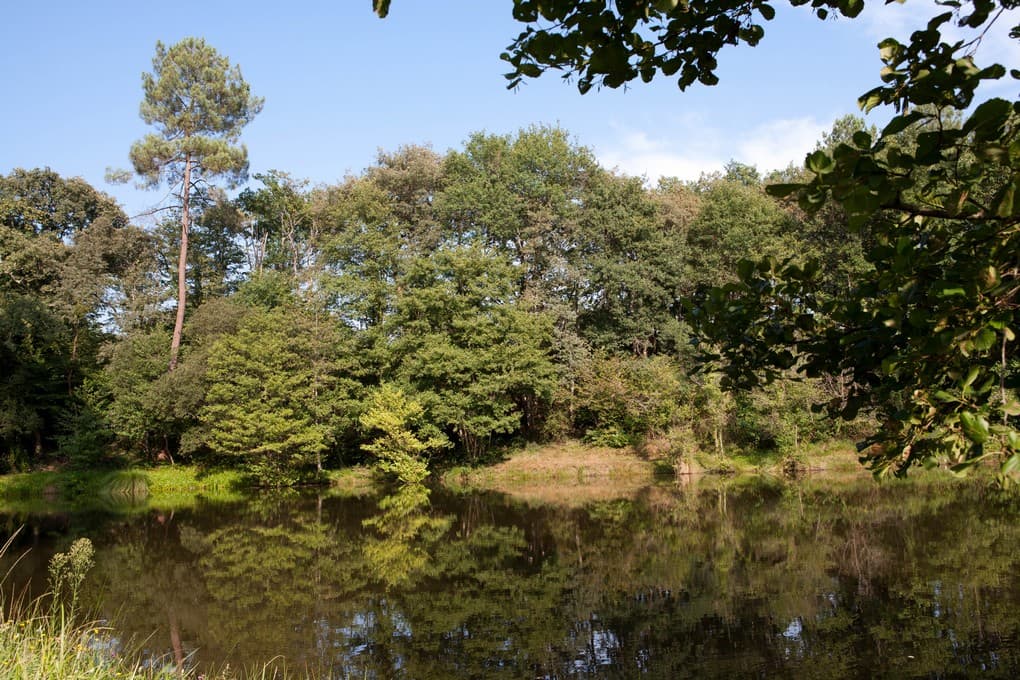 Sarbazan - Etang Mouneyre