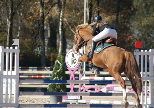 Saut