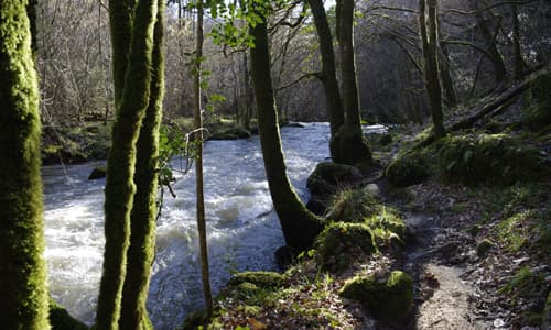 Saut-Chalard-hiver2