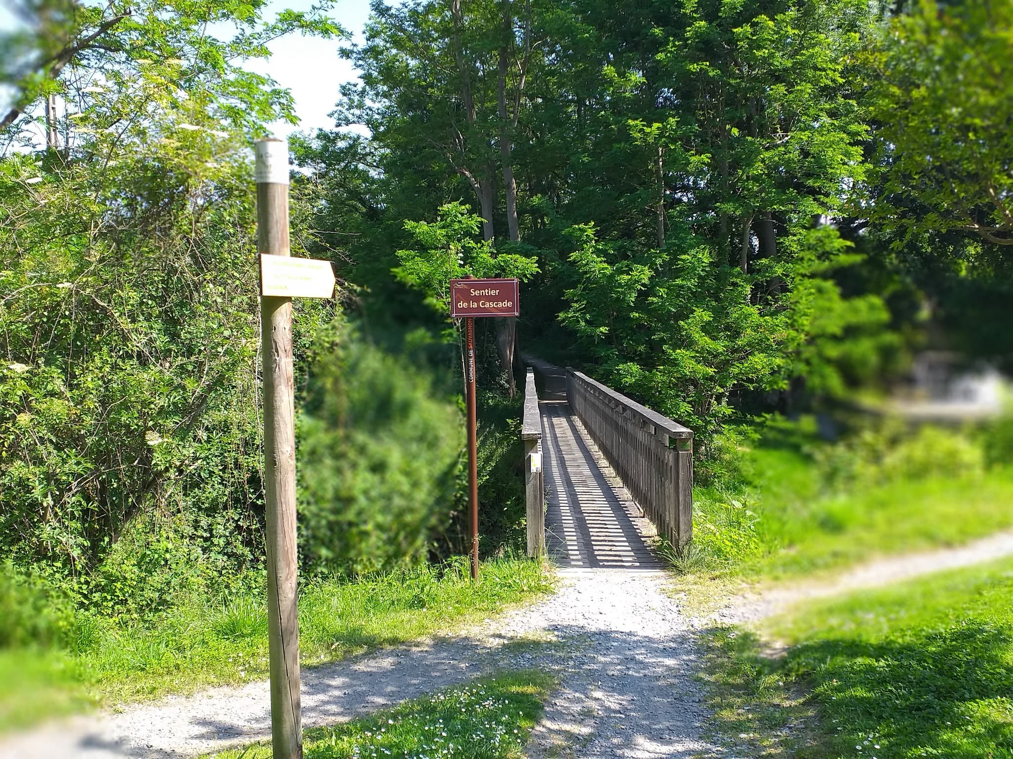 Sauvagnon - Parc - cph SMT NB 31 mai 2021 (33)