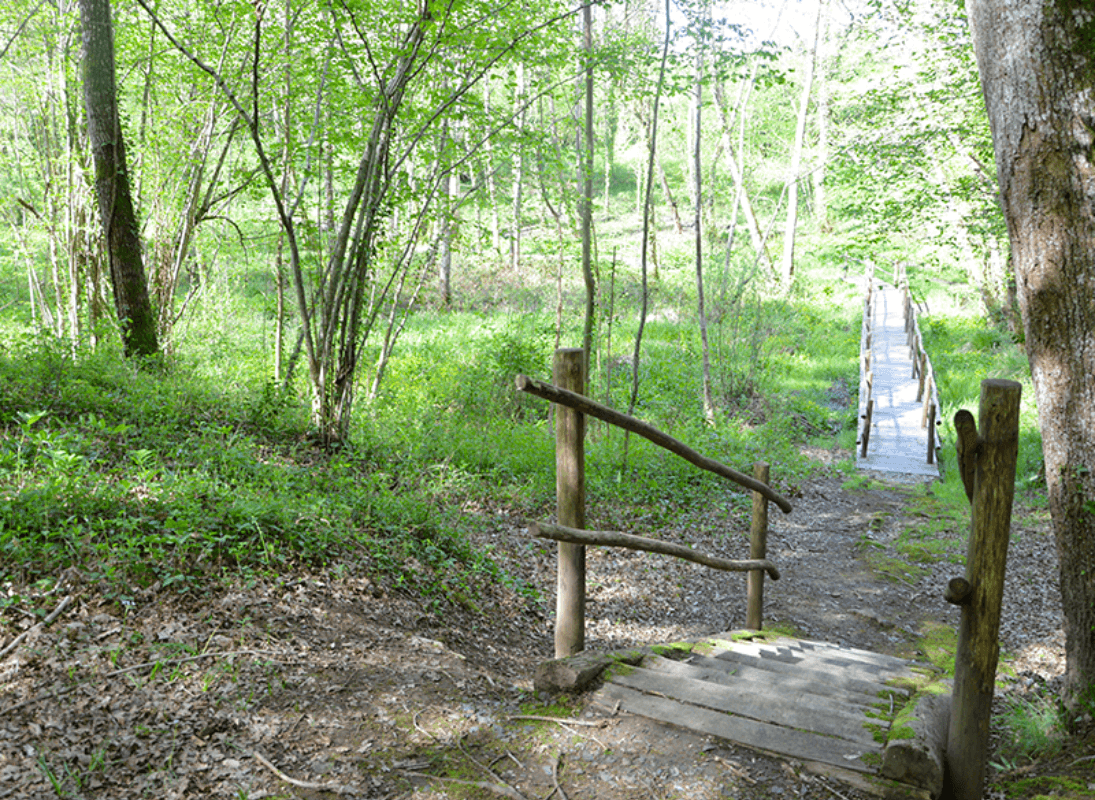 Sentier Musical de Pageas