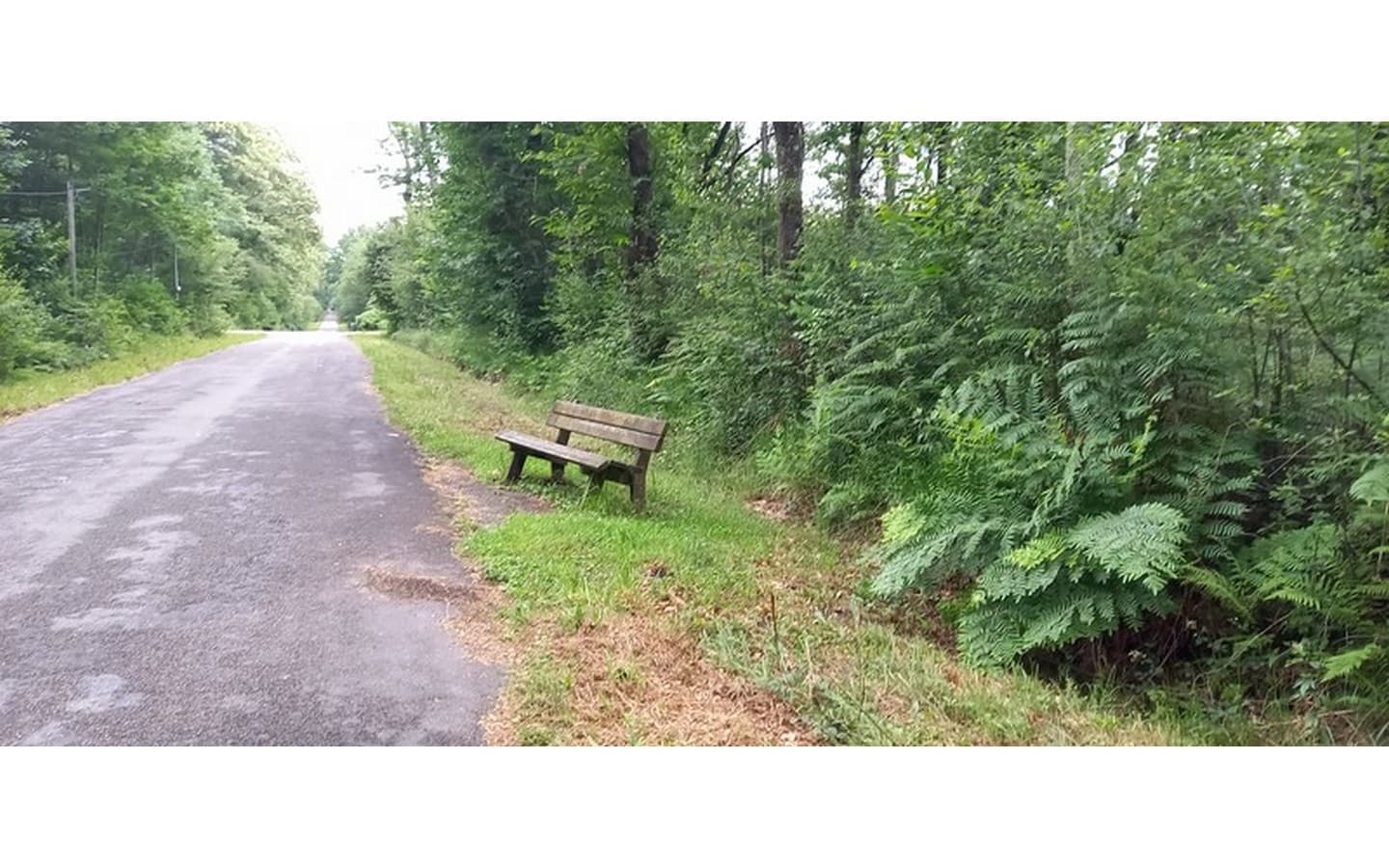 Sentier tourisme & handicap du Bois de Pau 5