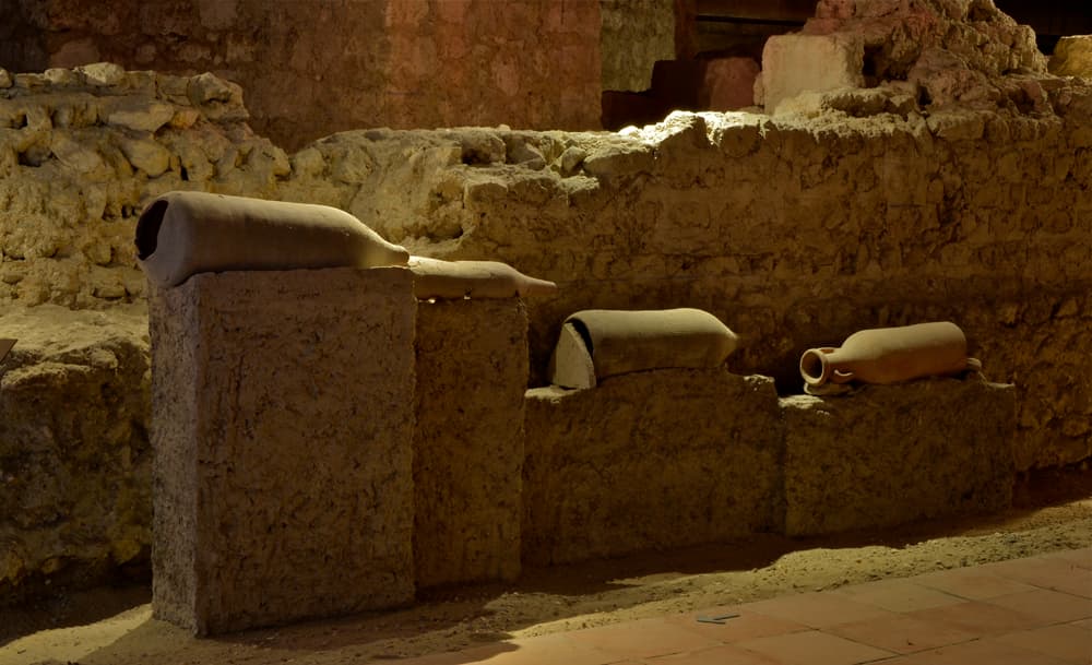 Site Paleo Saint Seurin_1
