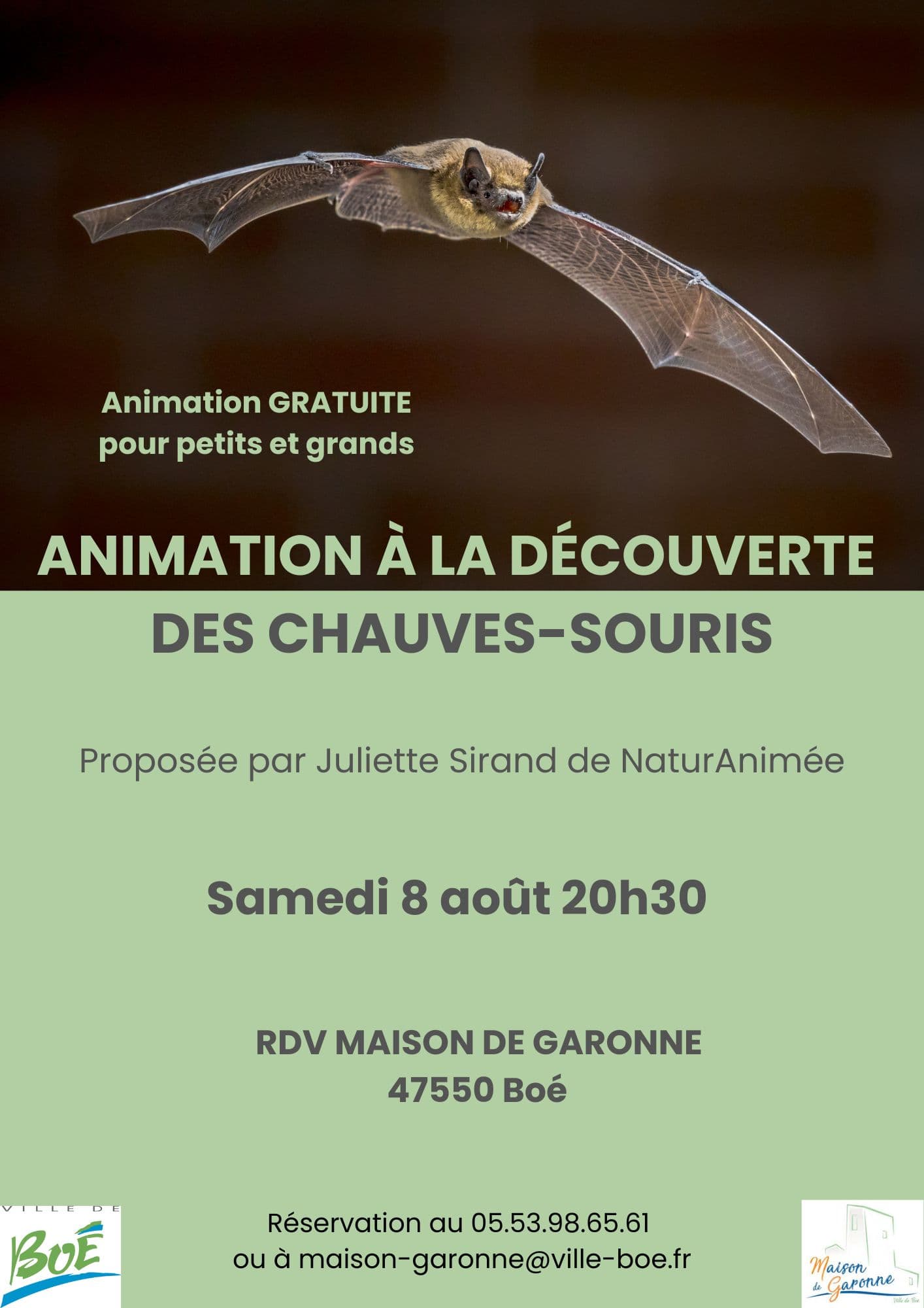 Copie de Soirée chauves-souris aout - 1