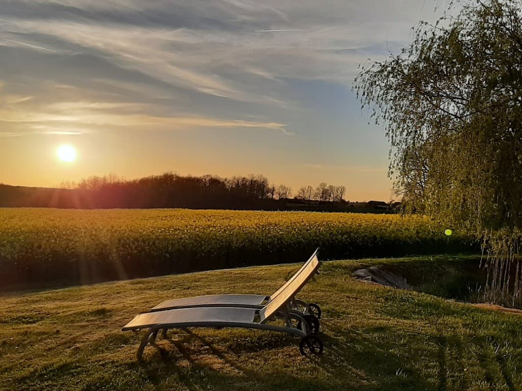 Soleil-champs-colza