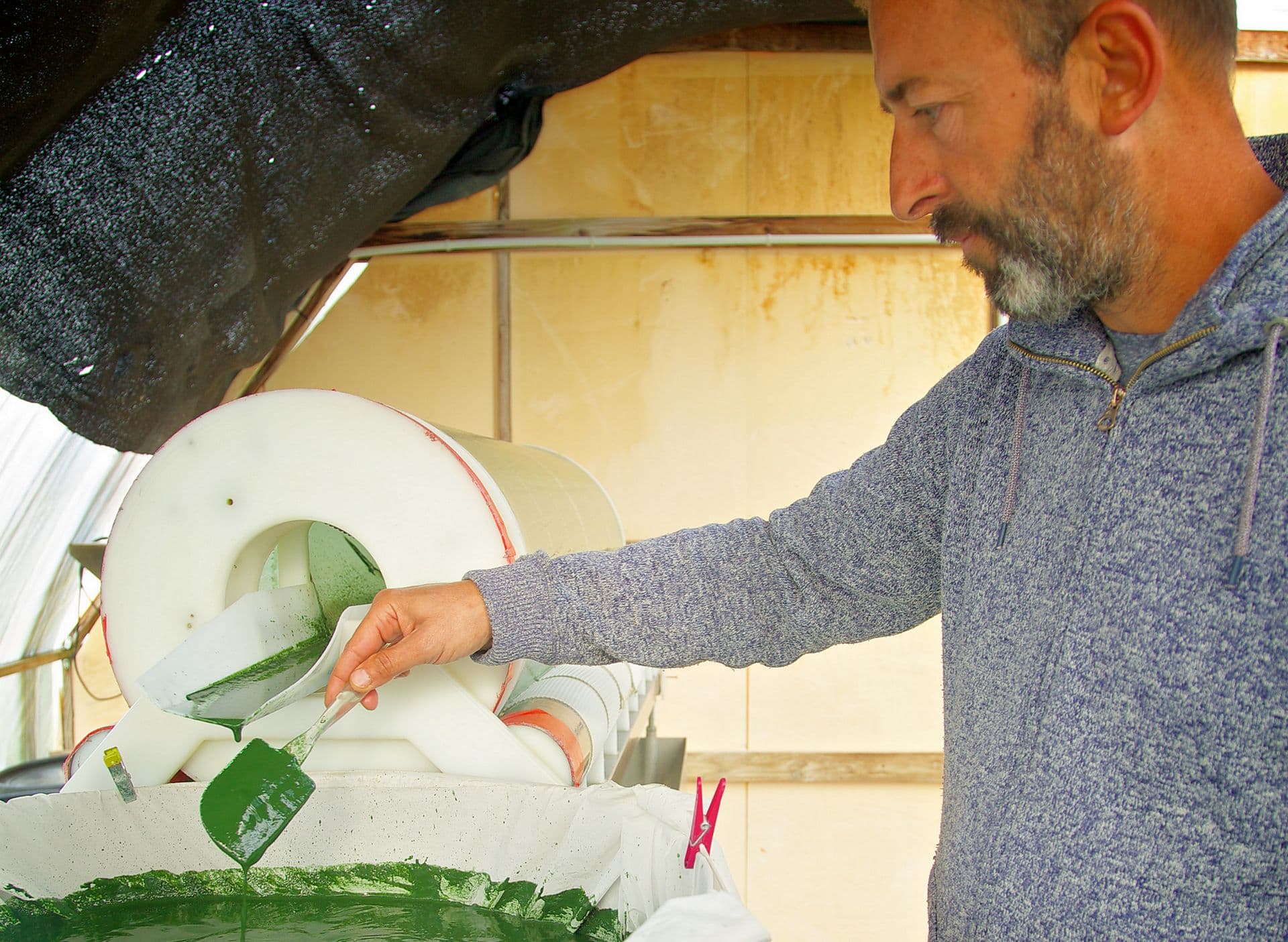 Spiruline d'Aquitaine - recolte