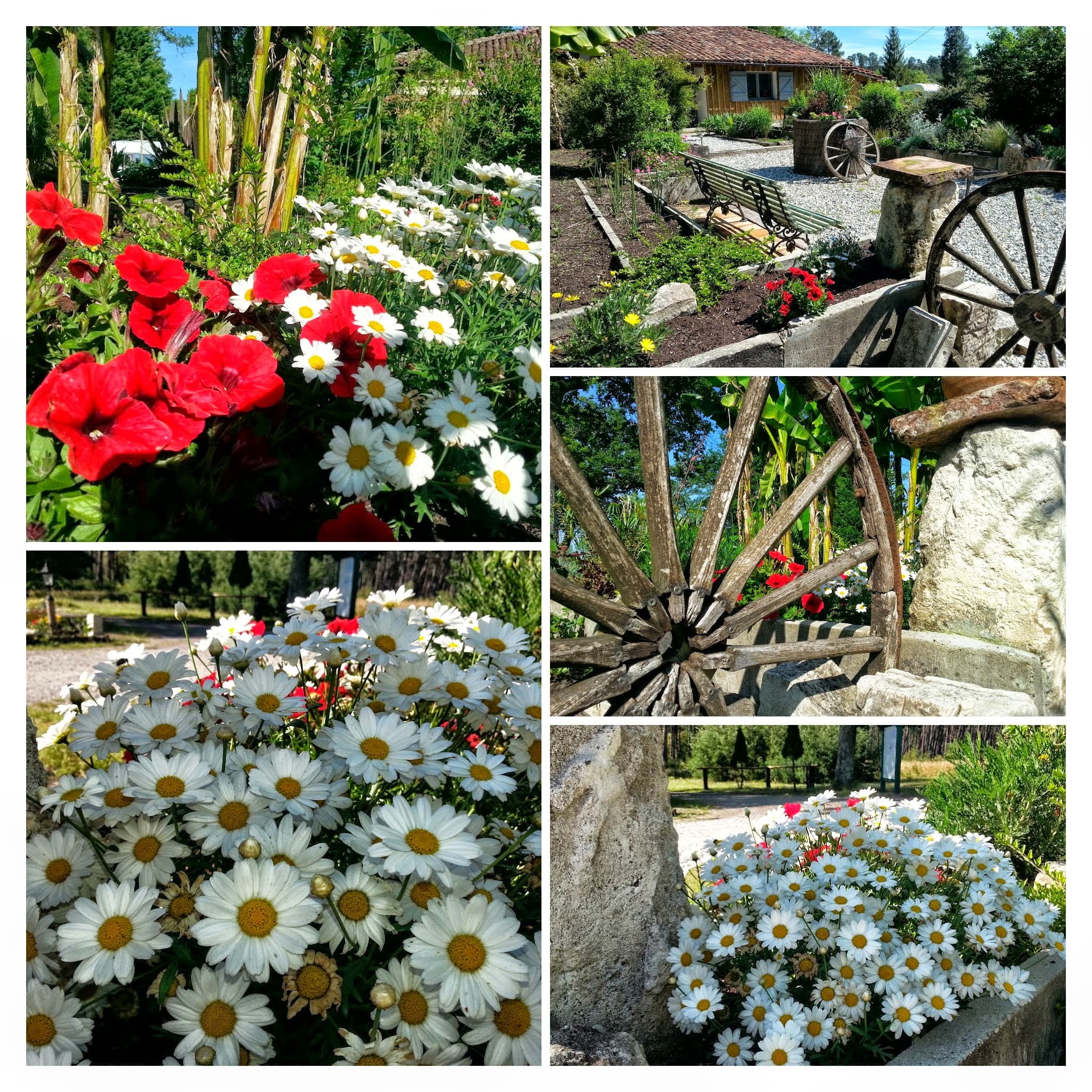 St-Miche-Escalus_Domaine du Cayre_compo fleurs charette