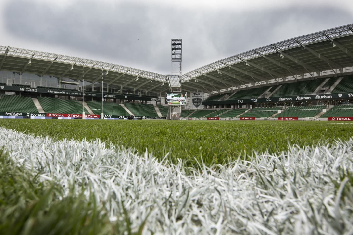 Stade du Hameau - Pau -Pelouse
