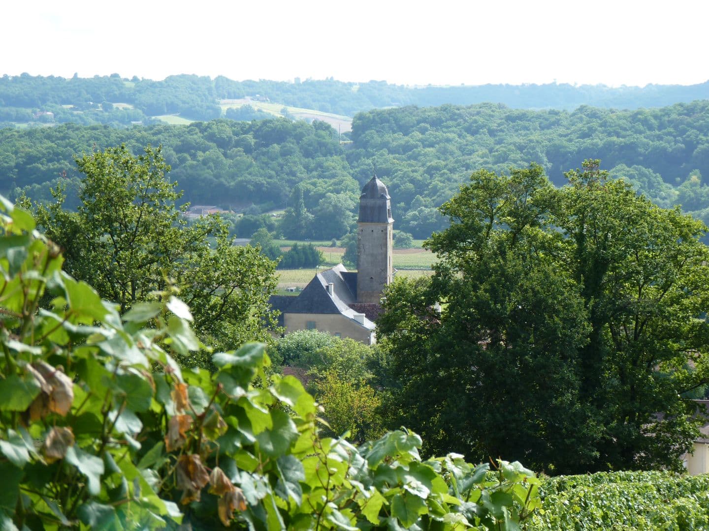 Taron Domaine de la Caillabère cps Tourisme Nord Béarn (3)