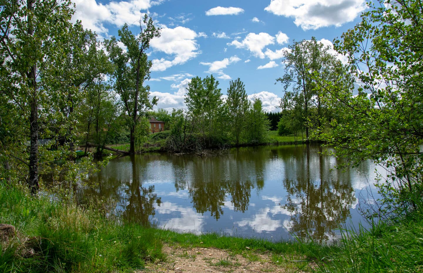The Lake Beaumont