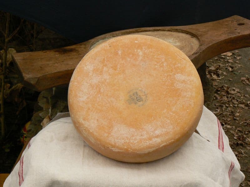 Tomme