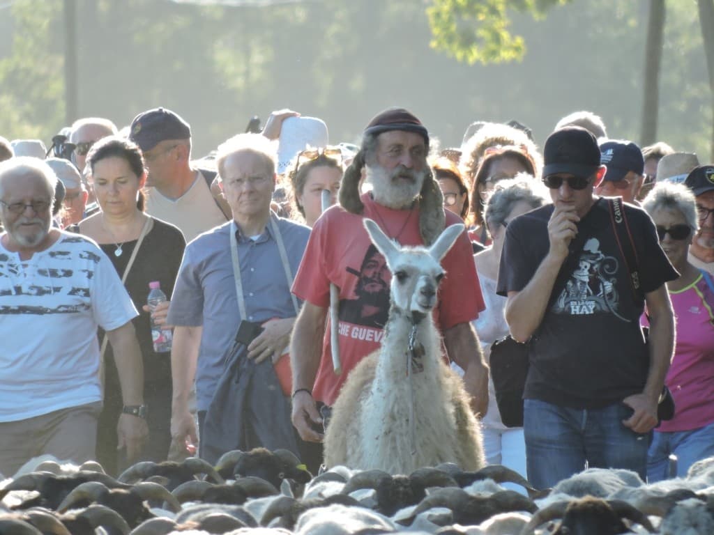 Transhumance-Losse-Jean-Luc-Paillaugue