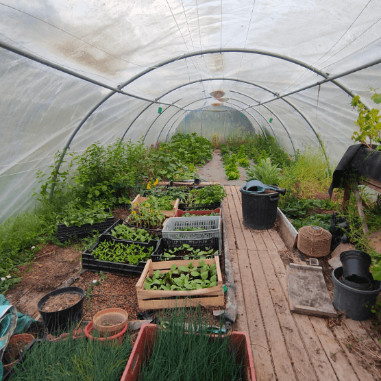 Ferme Villebure
