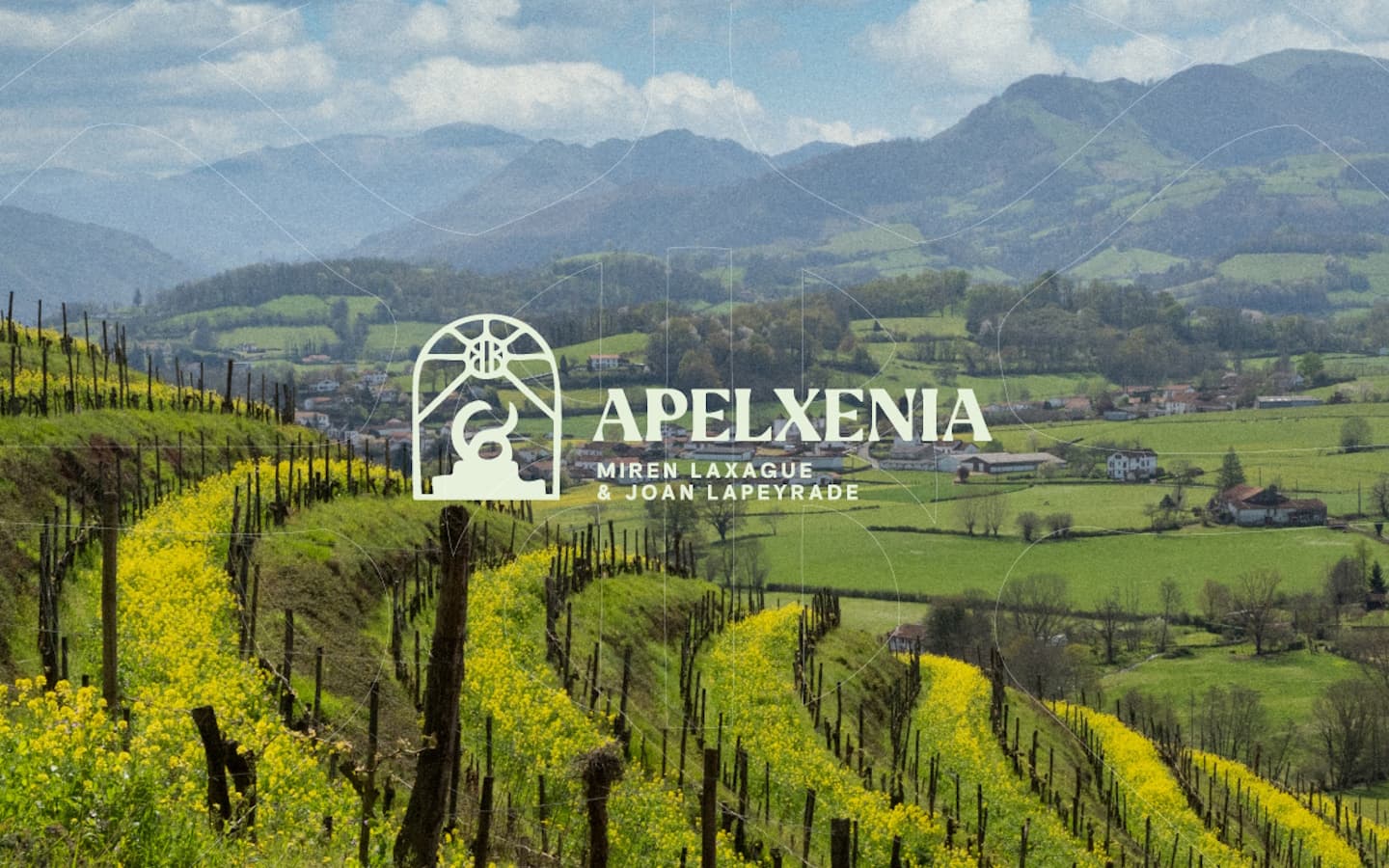 Vignes et logo