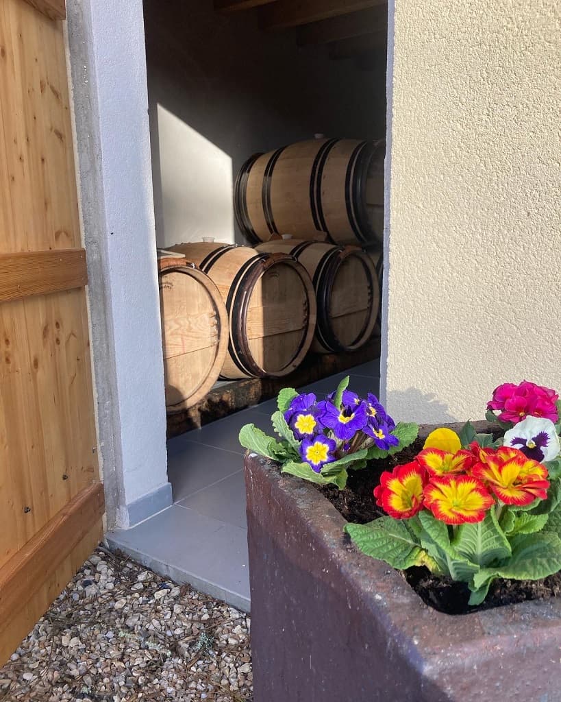 Vin-Expérience-Villefranche-de-lonchat-chai-fleurs