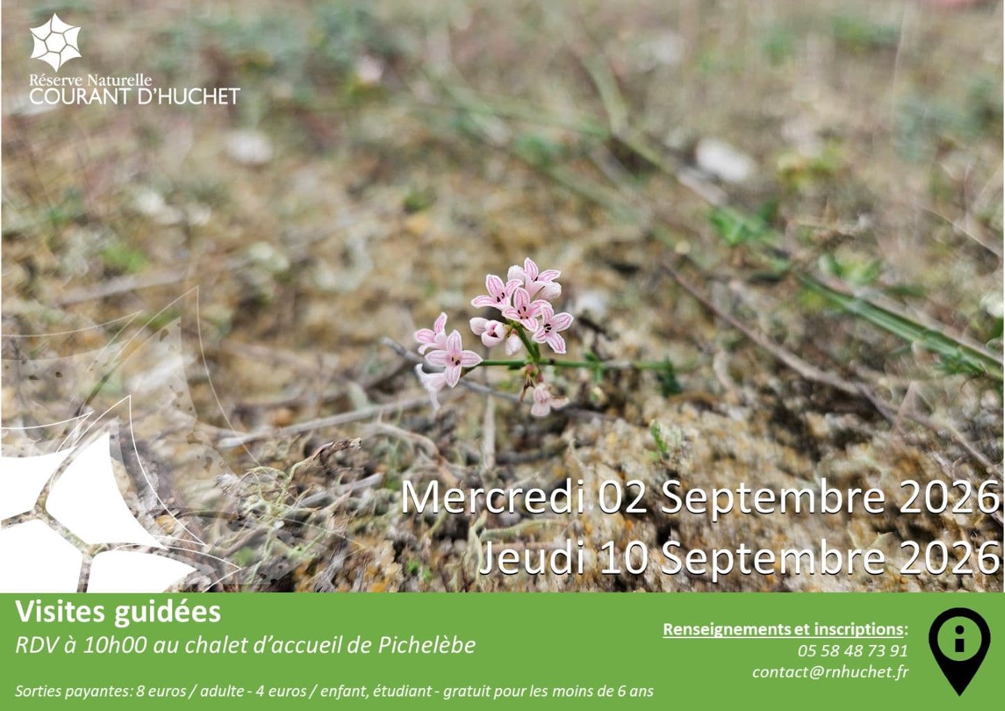 Visites guidées Reserve Huchet - Septembre 2026 OTI Landes Atlantique Sud