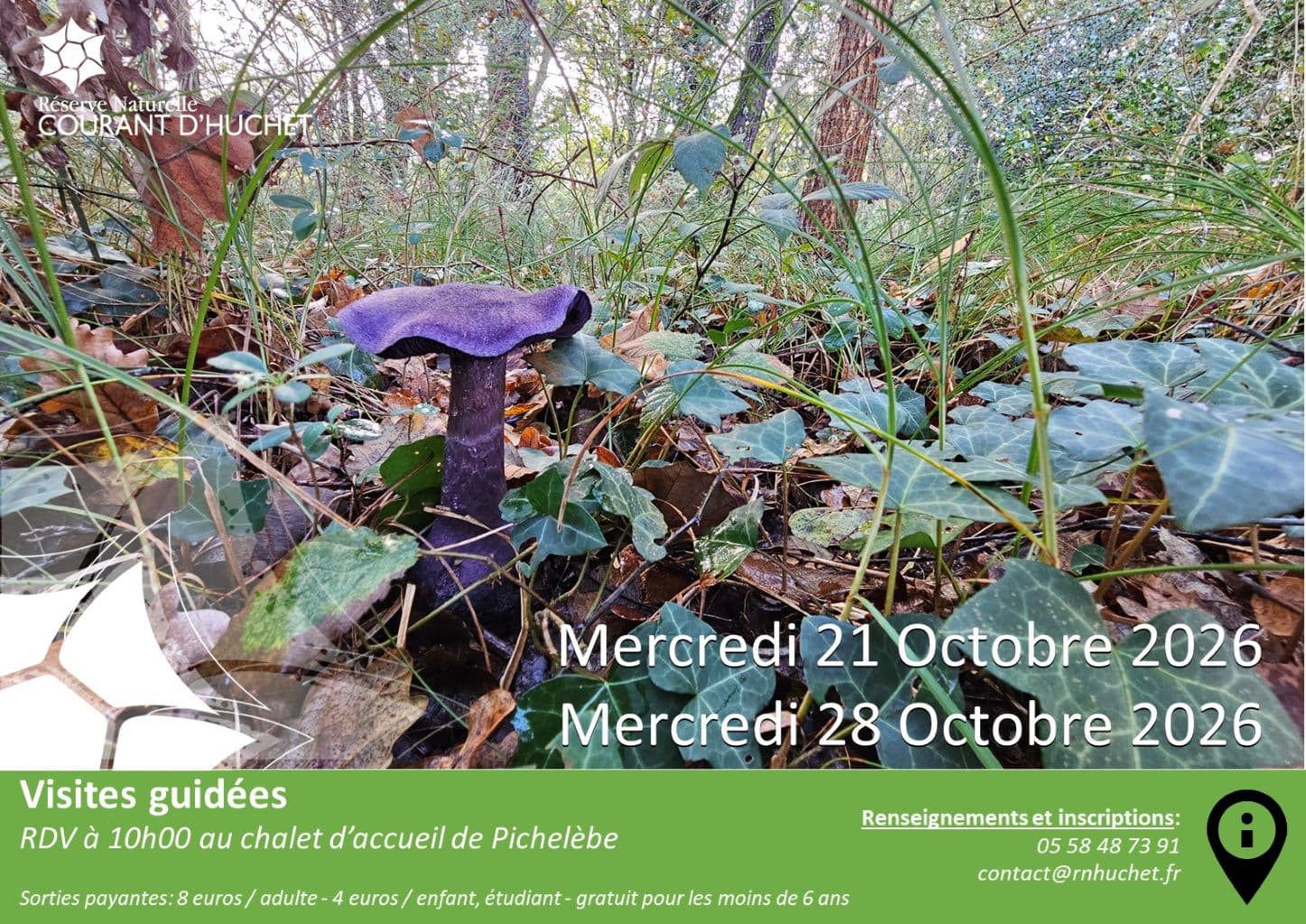 Visites guidées Rserve Huchet- Automne - 2026 Moliets OTI Landes Atlantique Sud