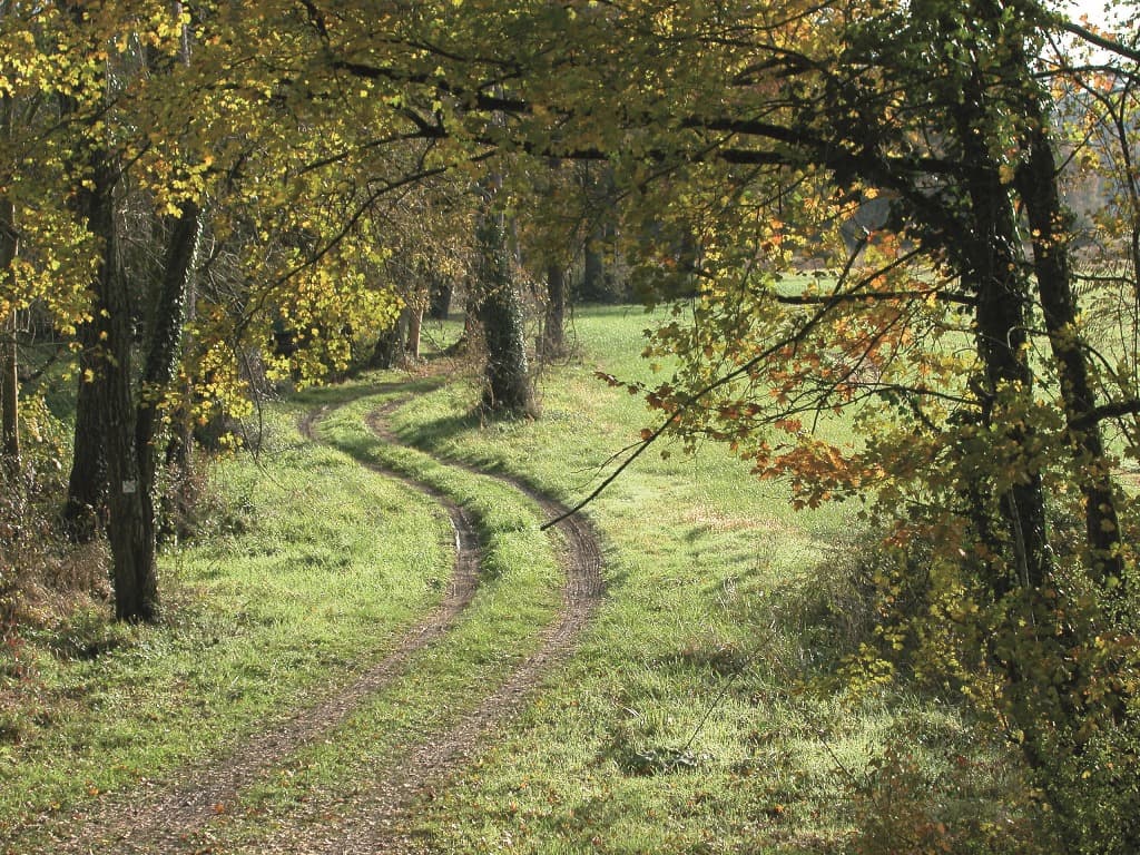 Chemins de randonnées