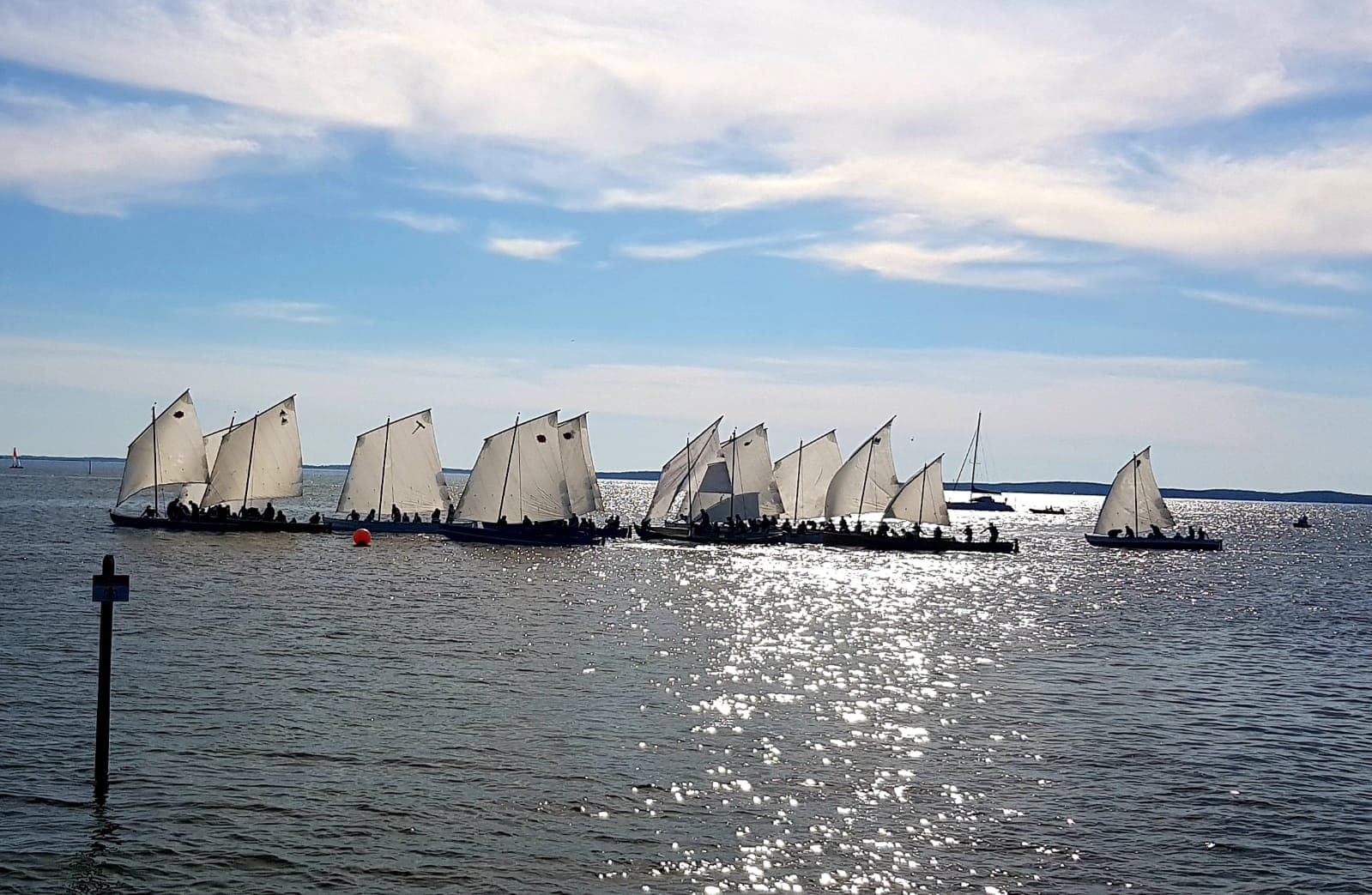 Voiles en liberté