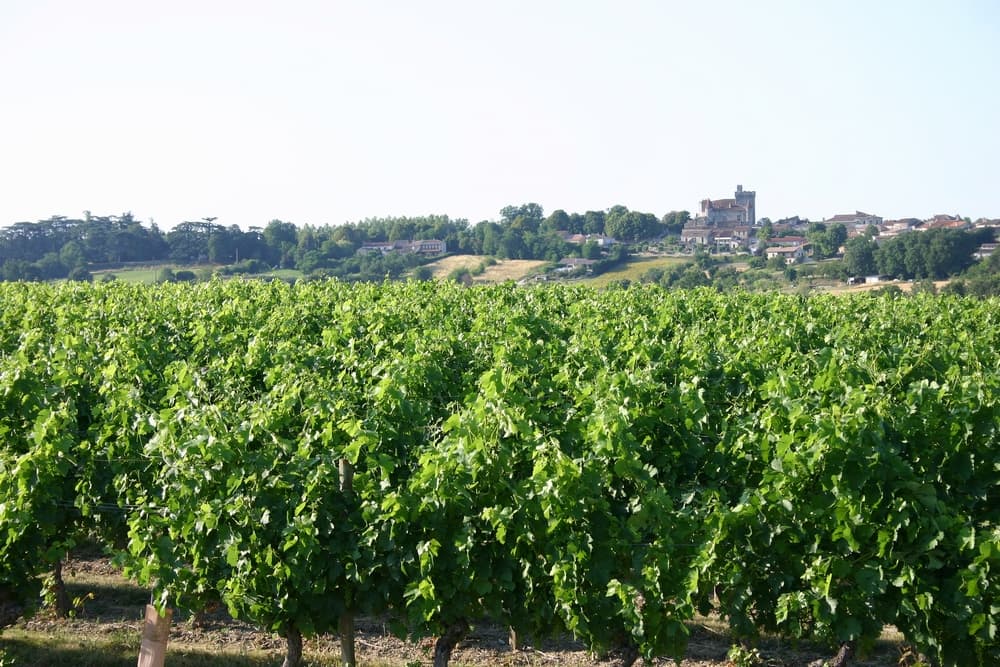 Vue Xaintrailles_Albret Tourisme