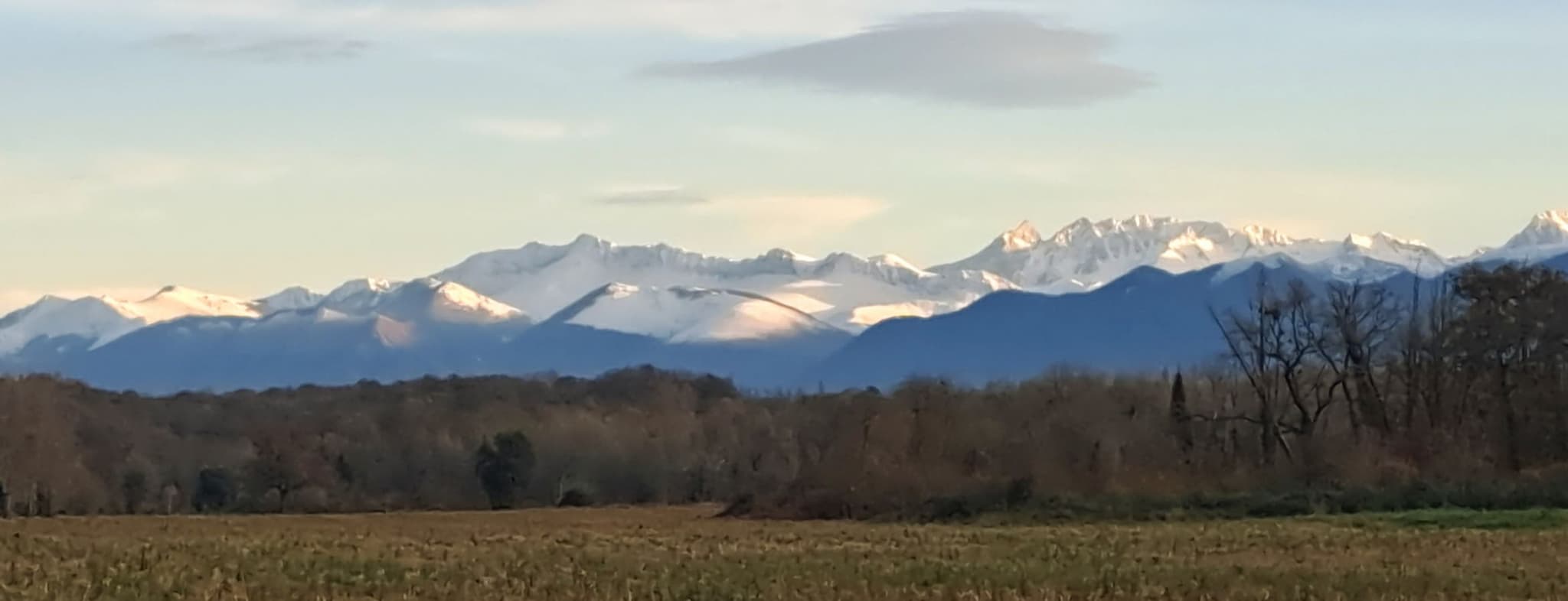 Vue depuis la maison