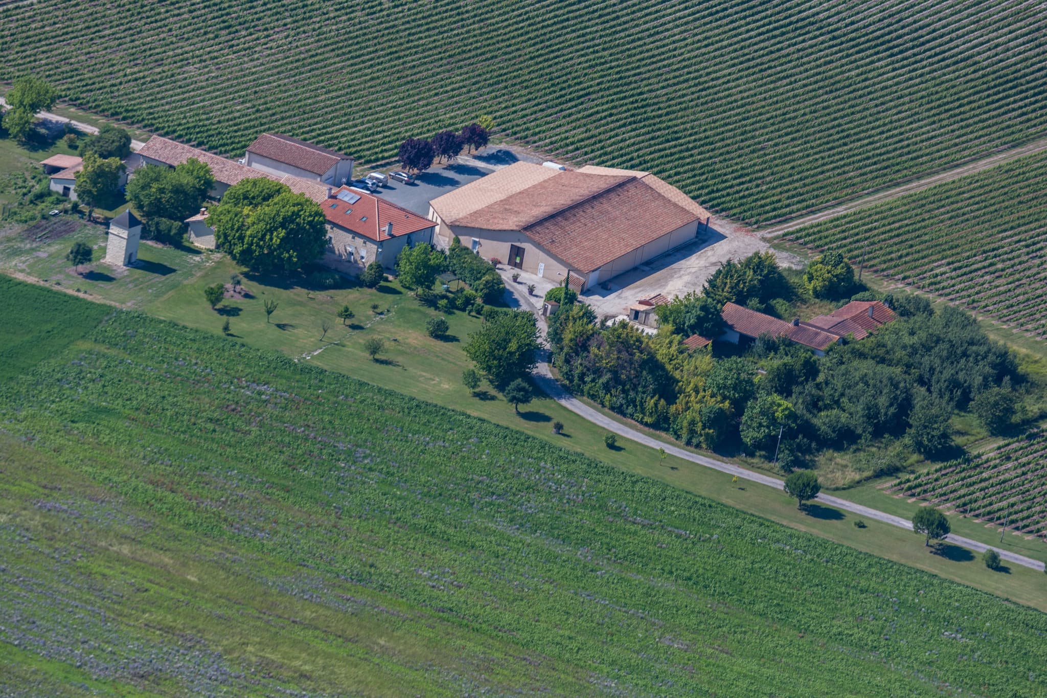 chateau_pierre_montignac-vue_ciel