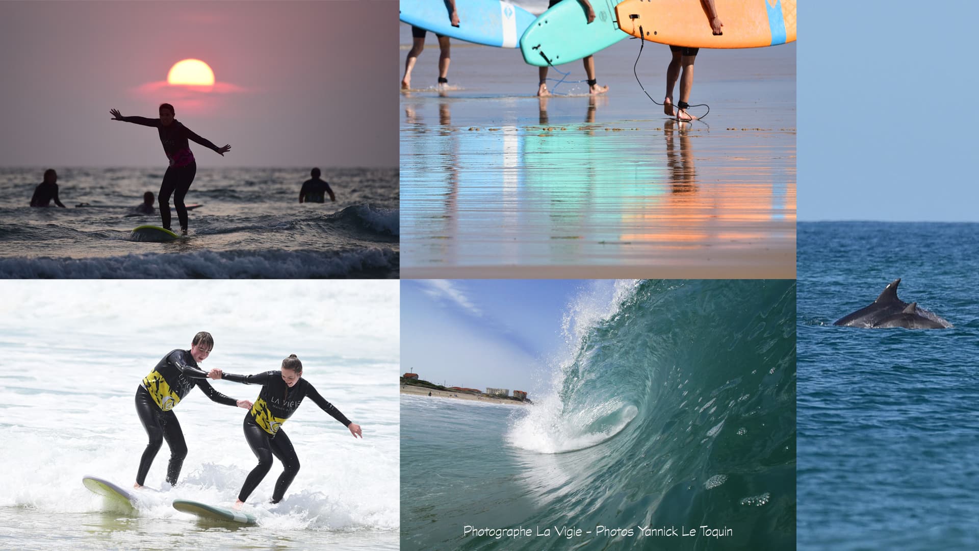 Yannick Le Toquin - Surfeurs + Dauphin 2025 - 4 (1)