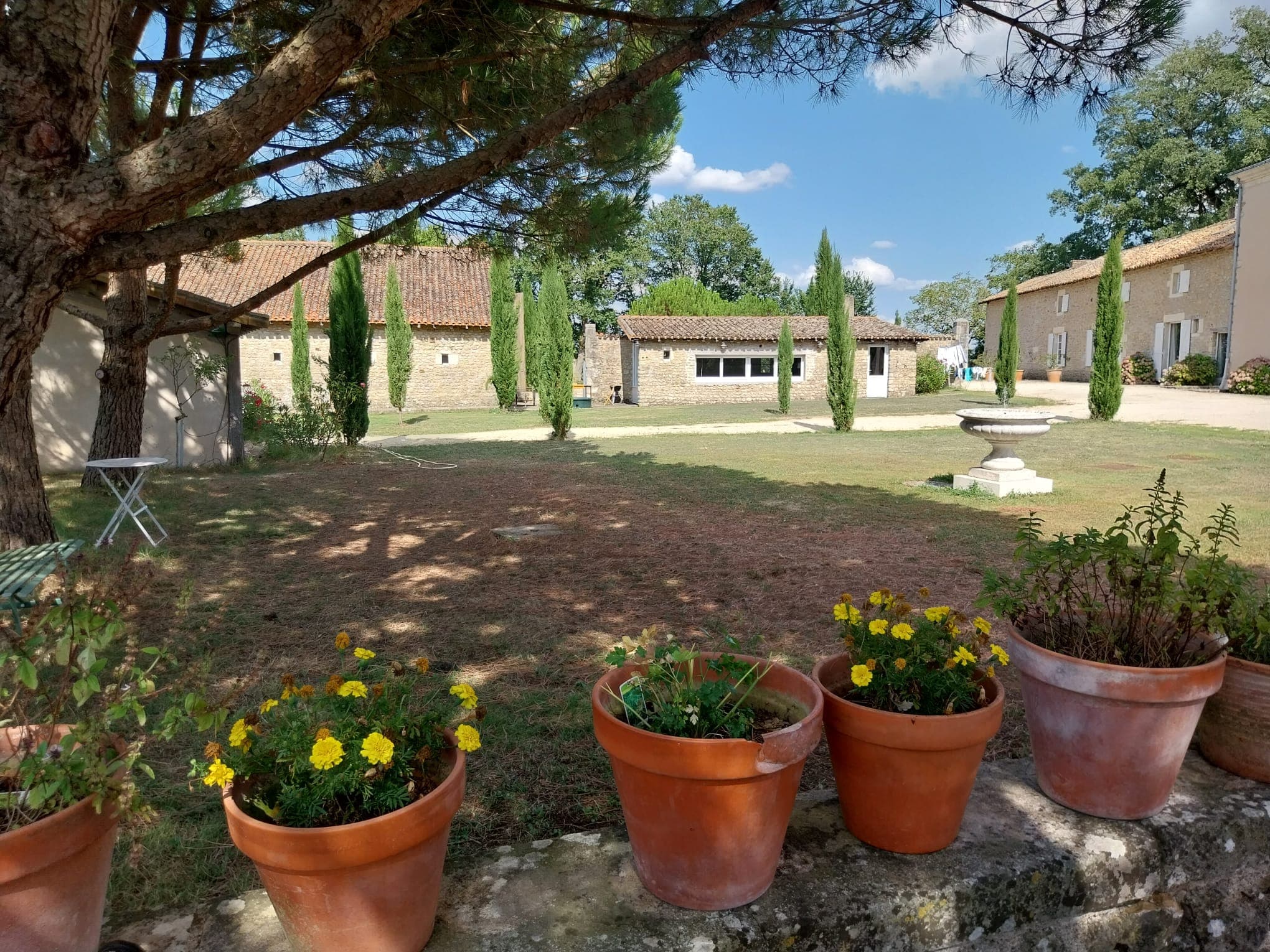 Domaine d'Ancia à Anché _ Vienne _extérieur ombragé