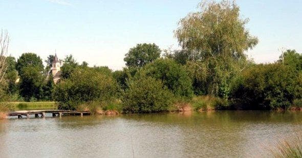 Etang de pêche communal_1
