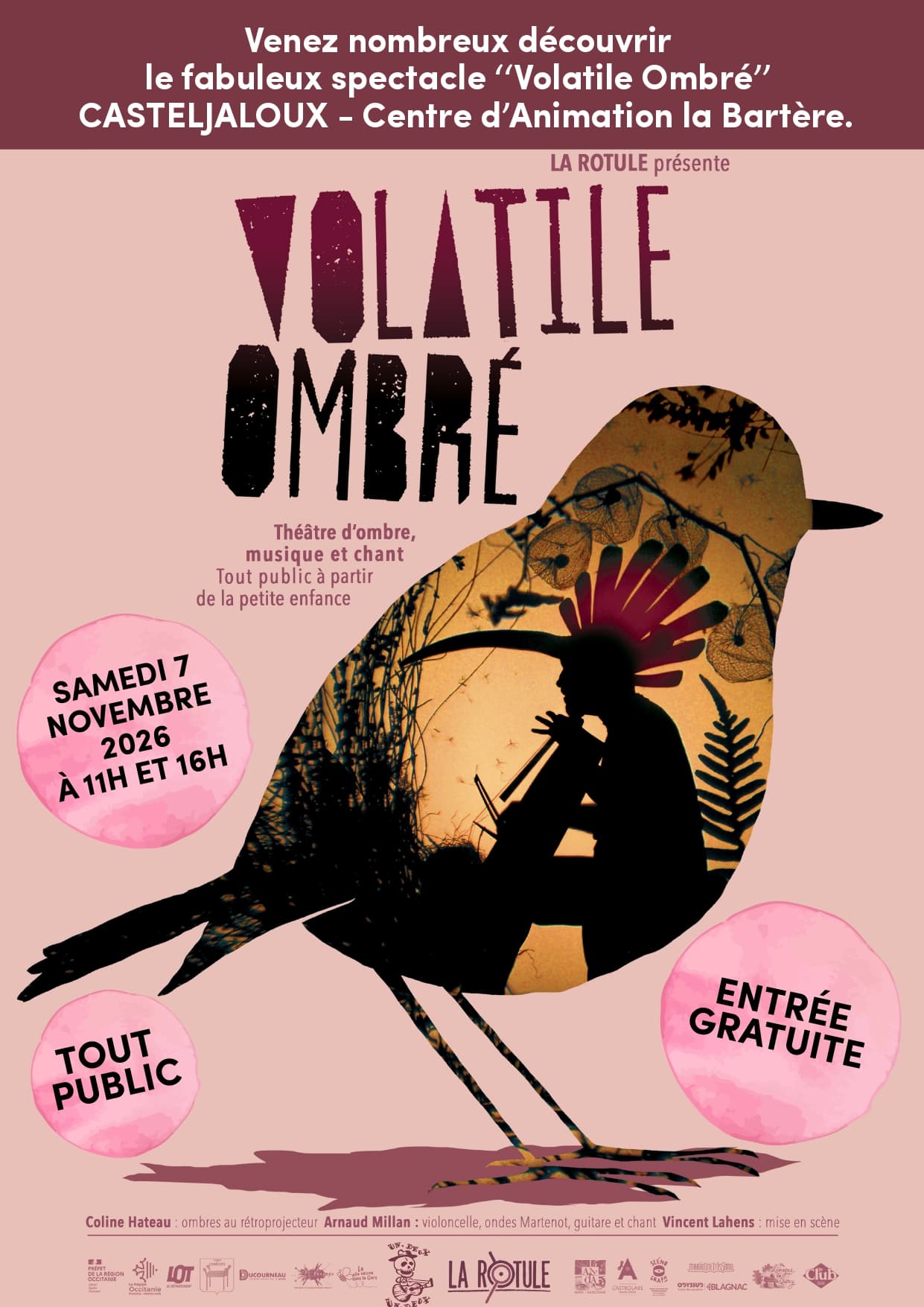 affiche-bibliothèque-volatile-ombré